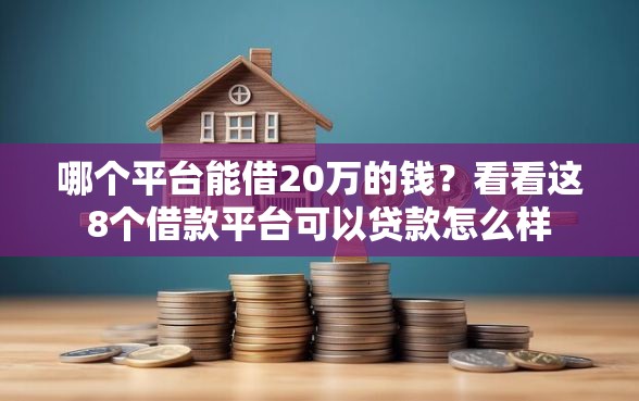 哪个平台能借20万的钱？看看这8个借款平台可以贷款怎么样