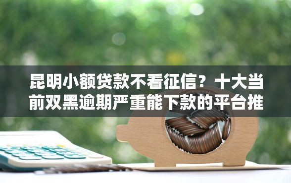 昆明小额贷款不看征信？十大当前双黑逾期严重能下款的平台推荐