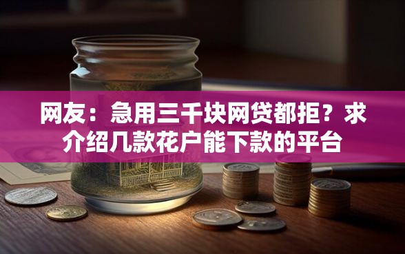 网友：急用三千块网贷都拒？求介绍几款花户能下款的平台