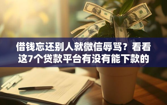 借钱忘还别人就微信辱骂？看看这7个贷款平台有没有能下款的