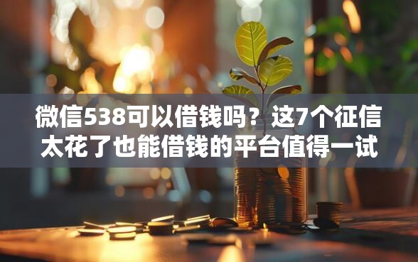 微信538可以借钱吗？这7个征信太花了也能借钱的平台值得一试