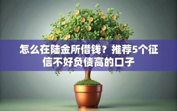 怎么在陆金所借钱？推荐5个征信不好负债高的口子