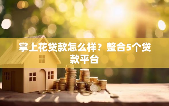 掌上花贷款怎么样？整合5个贷款平台