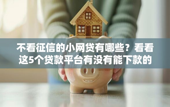 不看征信的小网贷有哪些？看看这5个贷款平台有没有能下款的
