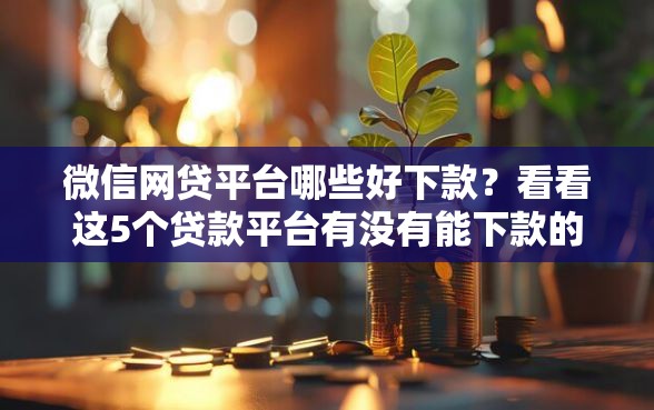 微信网贷平台哪些好下款？看看这5个贷款平台有没有能下款的