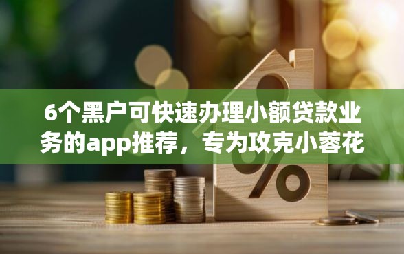 6个黑户可快速办理小额贷款业务的app推荐，专为攻克小蓉花看不看征信难题