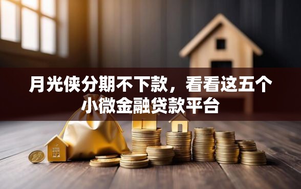 月光侠分期不下款，看看这五个小微金融贷款平台