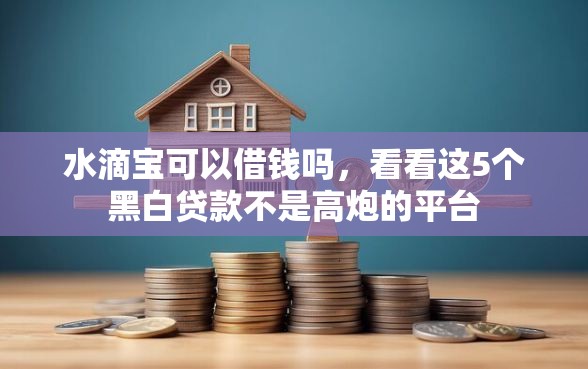 水滴宝可以借钱吗，看看这5个黑白贷款不是高炮的平台