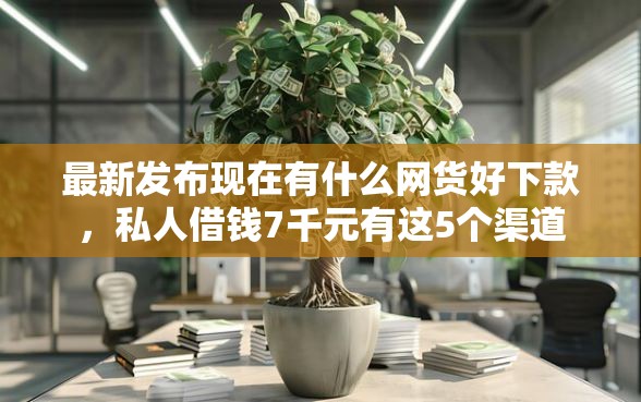最新发布现在有什么网货好下款，私人借钱7千元有这5个渠道
