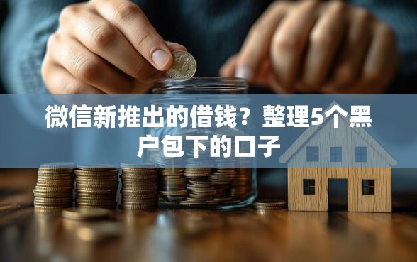 微信新推出的借钱？整理5个黑户包下的口子