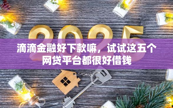滴滴金融好下款嘛，试试这五个网贷平台都很好借钱