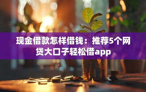 现金借款怎样借钱：推荐5个网贷大口子轻松借app