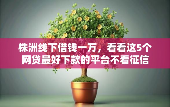 株洲线下借钱一万，看看这5个网贷最好下款的平台不看征信