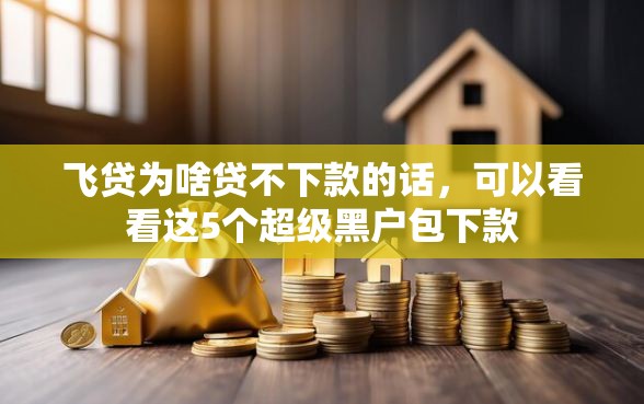 飞贷为啥贷不下款的话，可以看看这5个超级黑户包下款