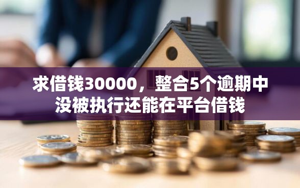 求借钱30000，整合5个逾期中没被执行还能在平台借钱