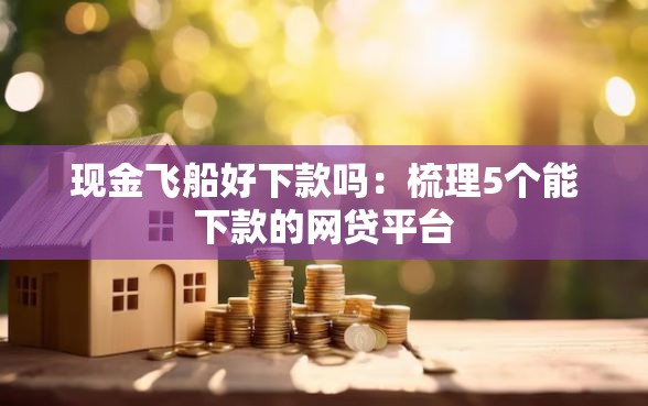 现金飞船好下款吗：梳理5个能下款的网贷平台