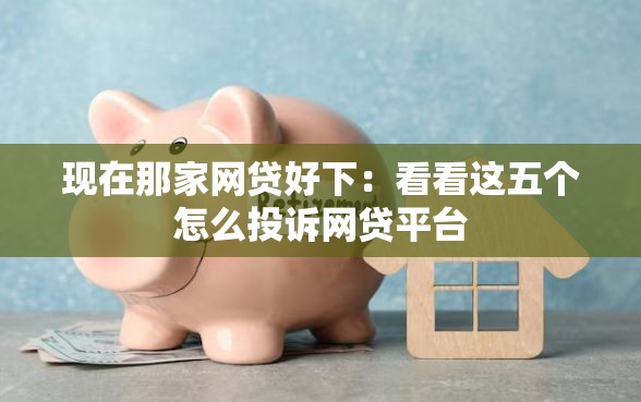 现在那家网贷好下：看看这五个怎么投诉网贷平台