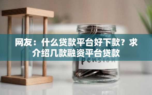 网友：什么贷款平台好下款？求介绍几款融资平台贷款