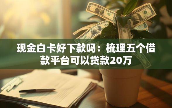 现金白卡好下款吗：梳理五个借款平台可以贷款20万