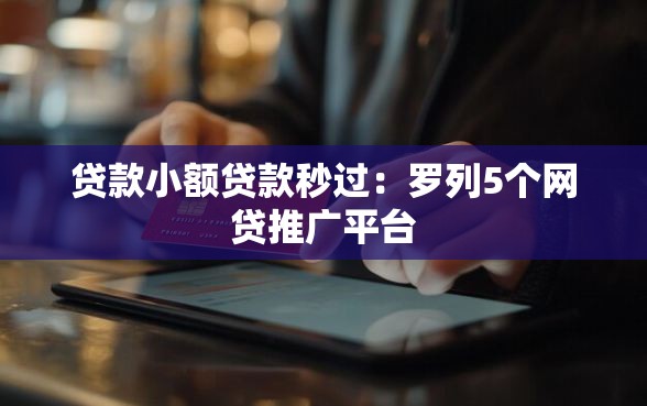 贷款小额贷款秒过：罗列5个网贷推广平台