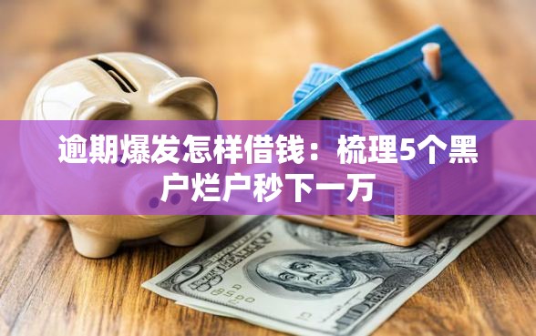逾期爆发怎样借钱：梳理5个黑户烂户秒下一万
