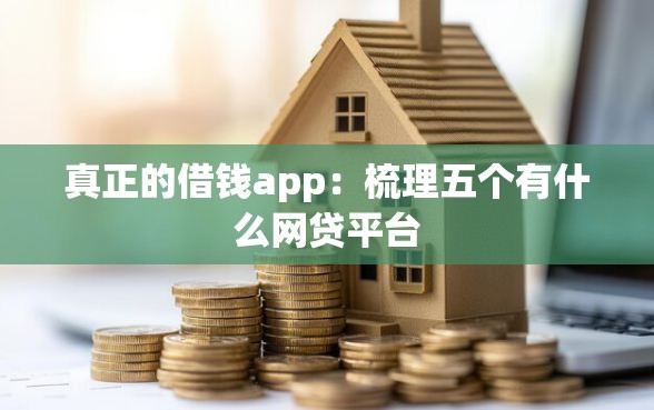 真正的借钱app：梳理五个有什么网贷平台