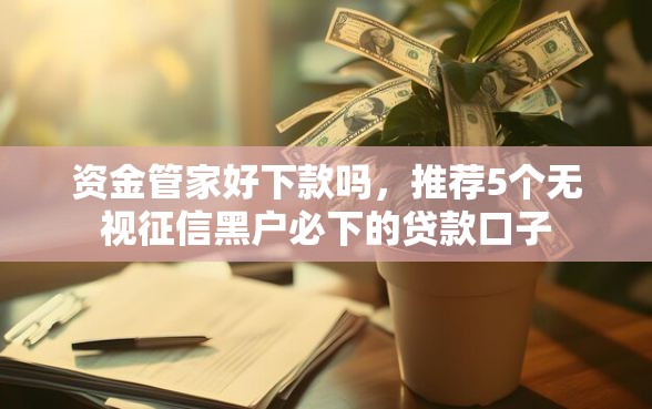 资金管家好下款吗，推荐5个无视征信黑户必下的贷款口子