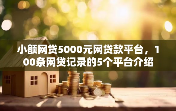小额网贷5000元网贷款平台，100条网贷记录的5个平台介绍