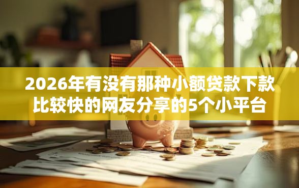 2026年有没有那种小额贷款下款比较快的网友分享的5个小平台贷款我觉得不错！