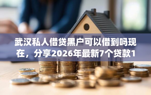 武汉私人借贷黑户可以借到吗现在，分享2026年最新7个贷款10万比较容易的app