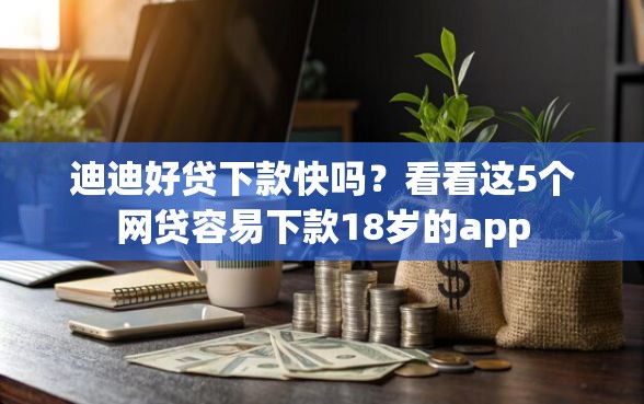迪迪好贷下款快吗？看看这5个网贷容易下款18岁的app