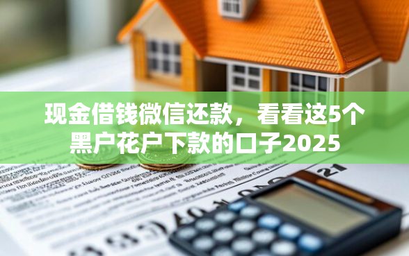 现金借钱微信还款，看看这5个黑户花户下款的口子2025