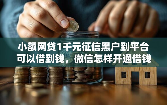 小额网贷1千元征信黑户到平台可以借到钱，微信怎样开通借钱业务的7个平台介绍