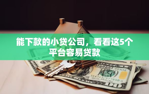 能下款的小贷公司，看看这5个平台容易贷款