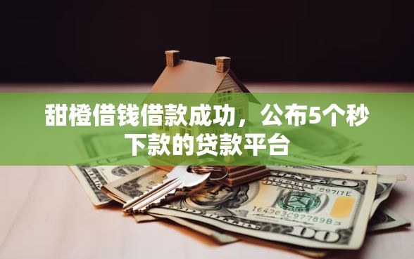 甜橙借钱借款成功，公布5个秒下款的贷款平台