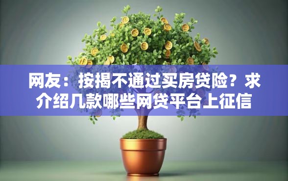 网友：按揭不通过买房贷险？求介绍几款哪些网贷平台上征信