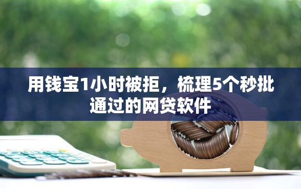 用钱宝1小时被拒，梳理5个秒批通过的网贷软件