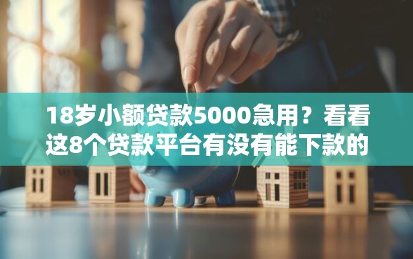18岁小额贷款5000急用？看看这8个贷款平台有没有能下款的