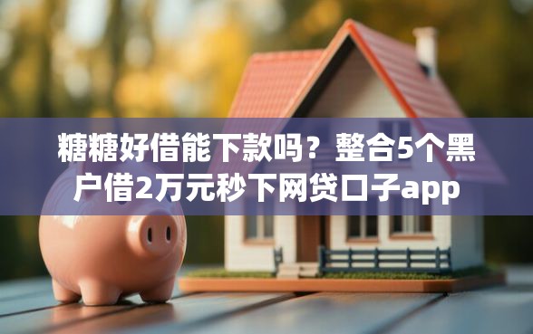 糖糖好借能下款吗？整合5个黑户借2万元秒下网贷口子app