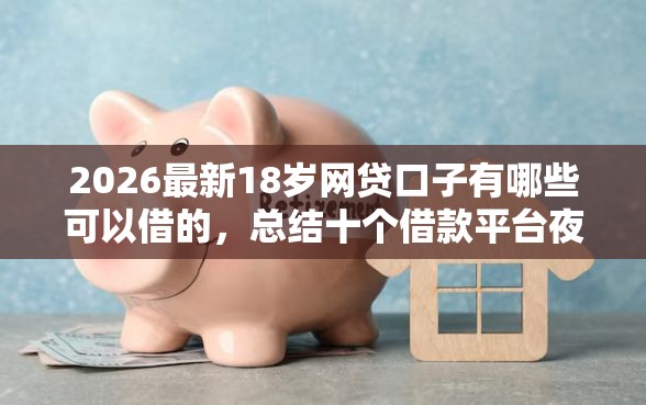 2026最新18岁网贷口子有哪些可以借的，总结十个借款平台夜间！
