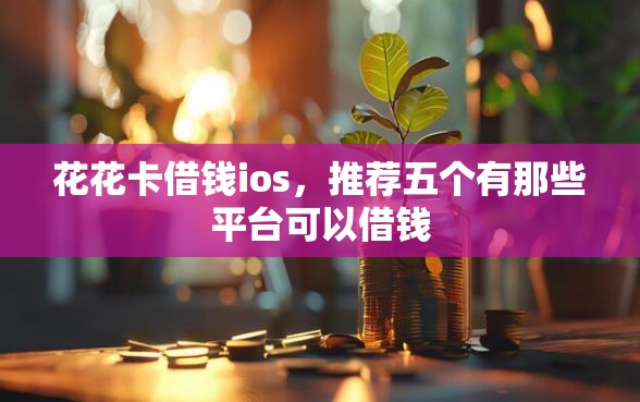 花花卡借钱ios，推荐五个有那些平台可以借钱