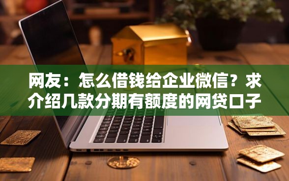 网友：怎么借钱给企业微信？求介绍几款分期有额度的网贷口子
