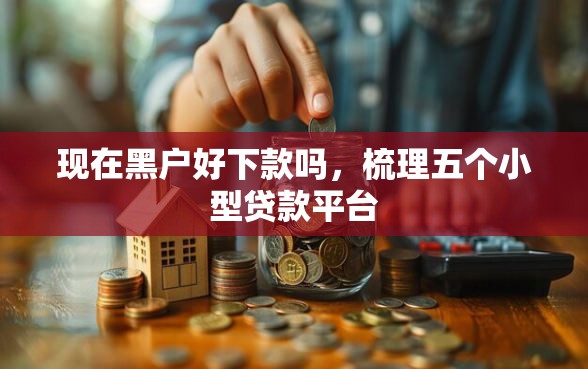 现在黑户好下款吗，梳理五个小型贷款平台