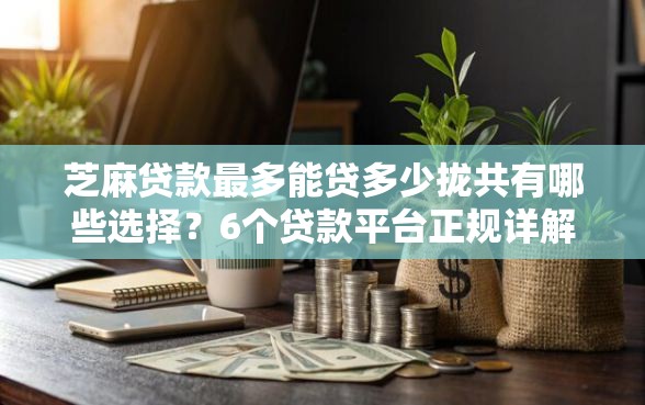 芝麻贷款最多能贷多少拢共有哪些选择？6个贷款平台正规详解