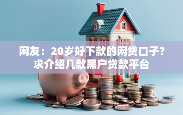 网友：20岁好下款的网贷口子？求介绍几款黑户贷款平台