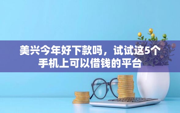 美兴今年好下款吗，试试这5个手机上可以借钱的平台