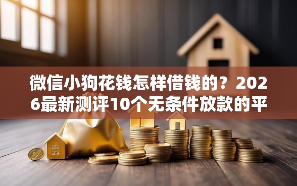 微信小狗花钱怎样借钱的？2026最新测评10个无条件放款的平台5w