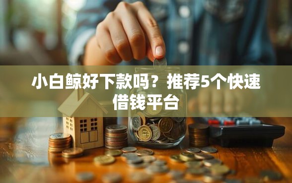 小白鲸好下款吗？推荐5个快速借钱平台