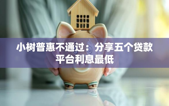 小树普惠不通过：分享五个贷款平台利息最低