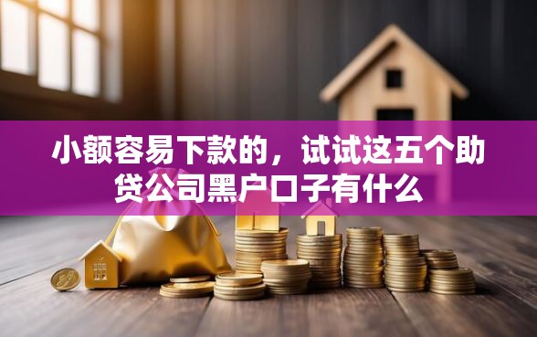 小额容易下款的，试试这五个助贷公司黑户口子有什么